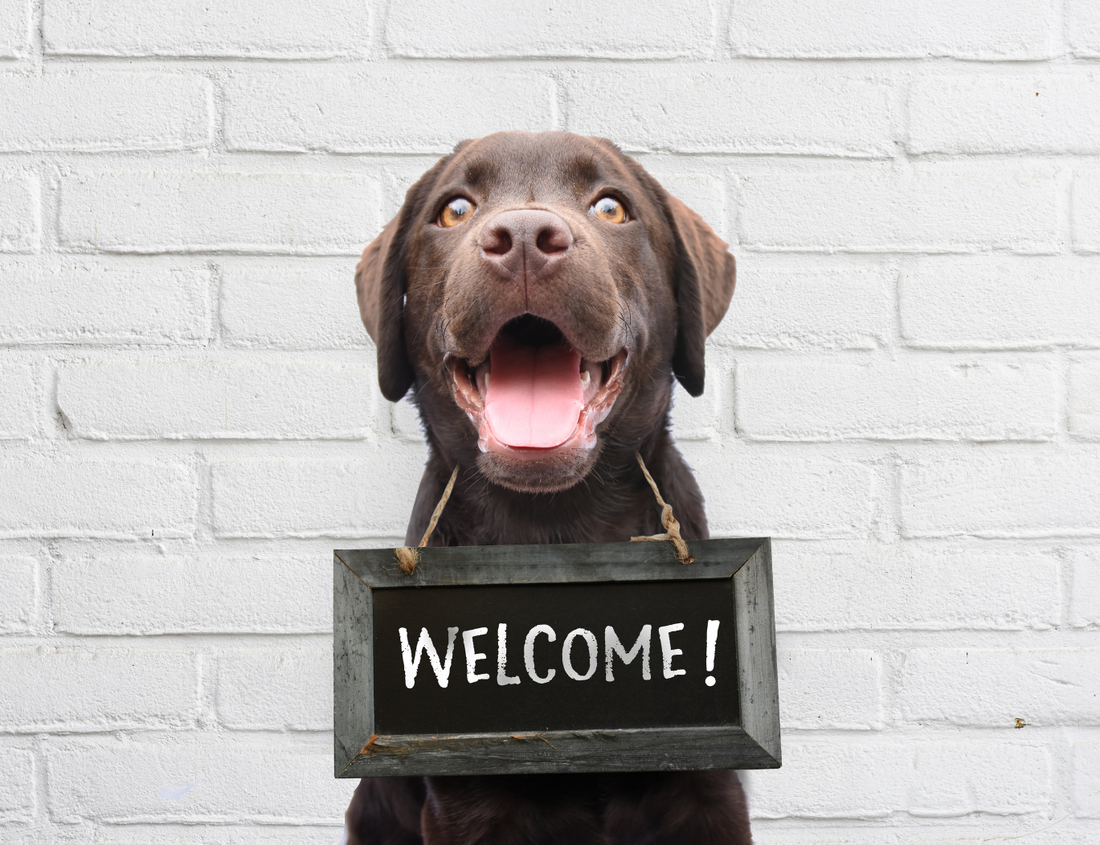 Welcome