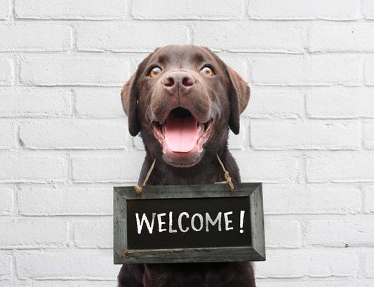 Welcome