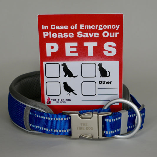 Christmas Safety Bundle 15% off