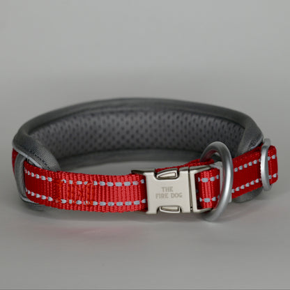 NightSafe Reflective Collar