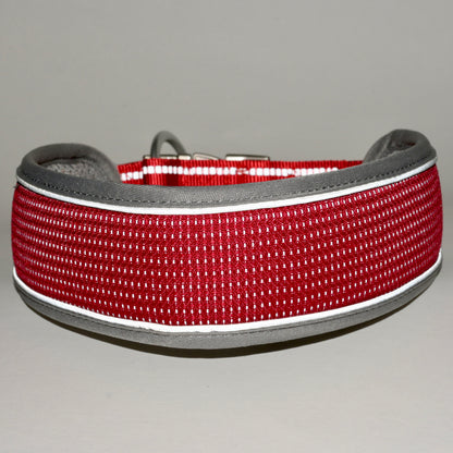 NightSafe Reflective Collar