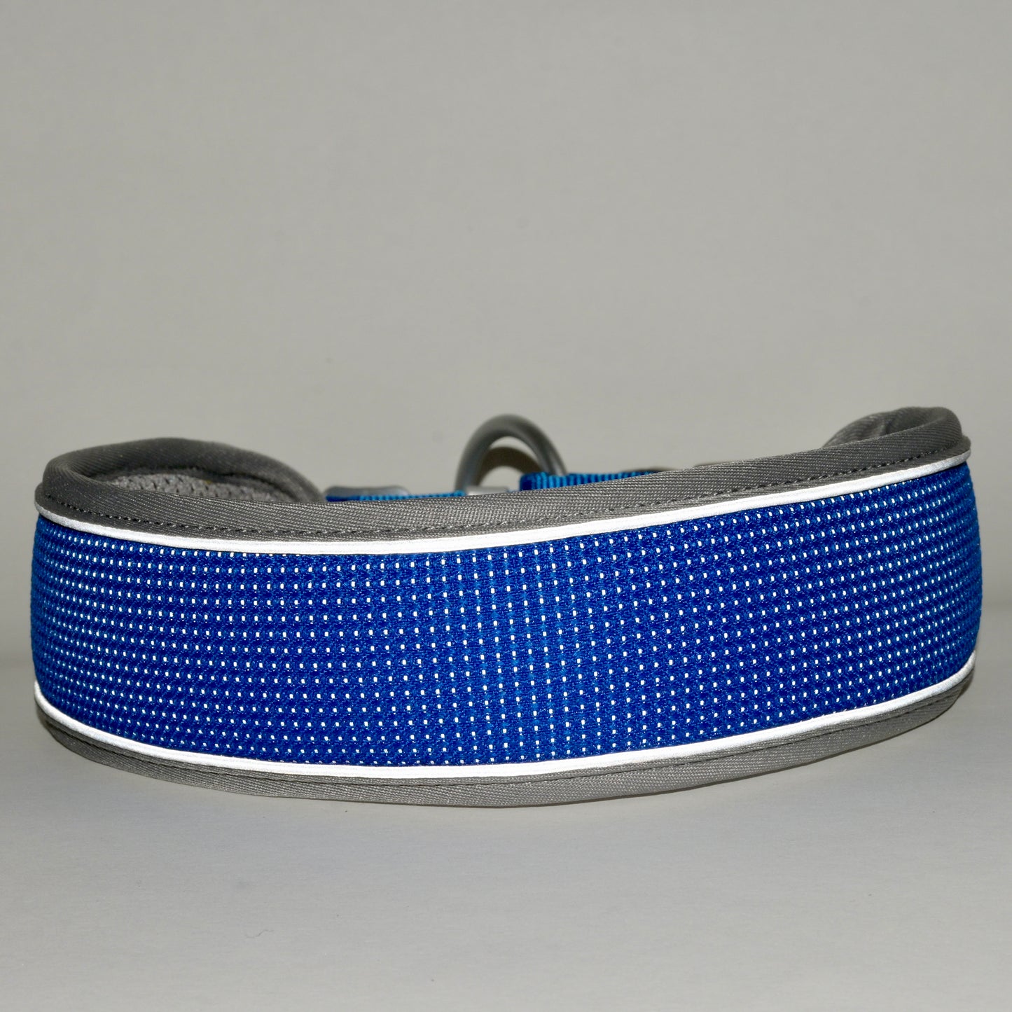 NightSafe Reflective Collar