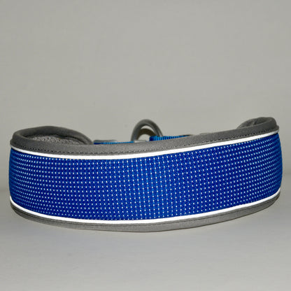 NightSafe Reflective Collar