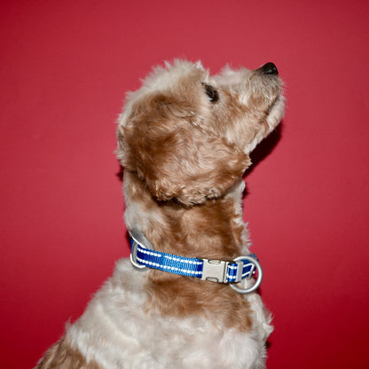 NightSafe Reflective Collar