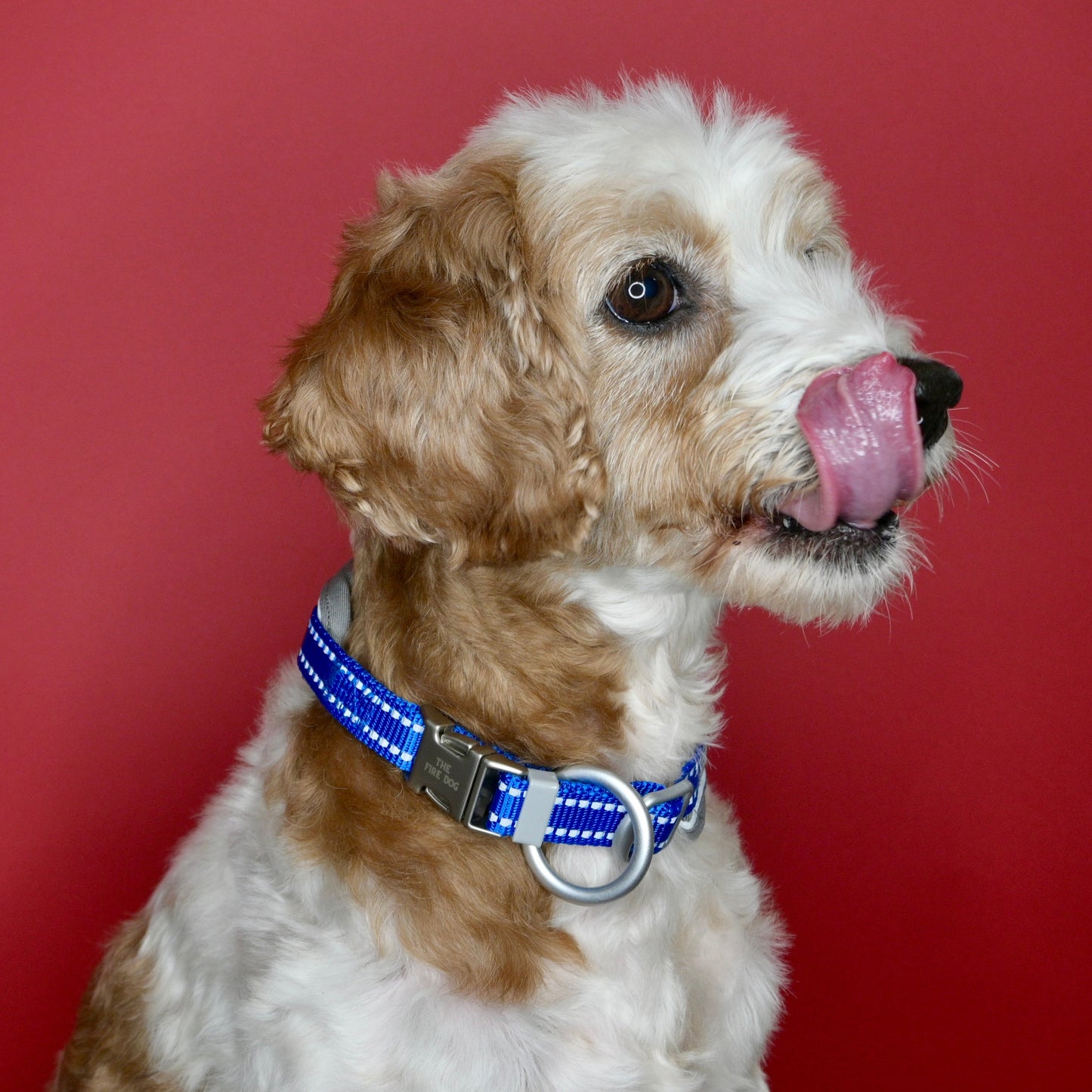 Launch Bundle 15% off