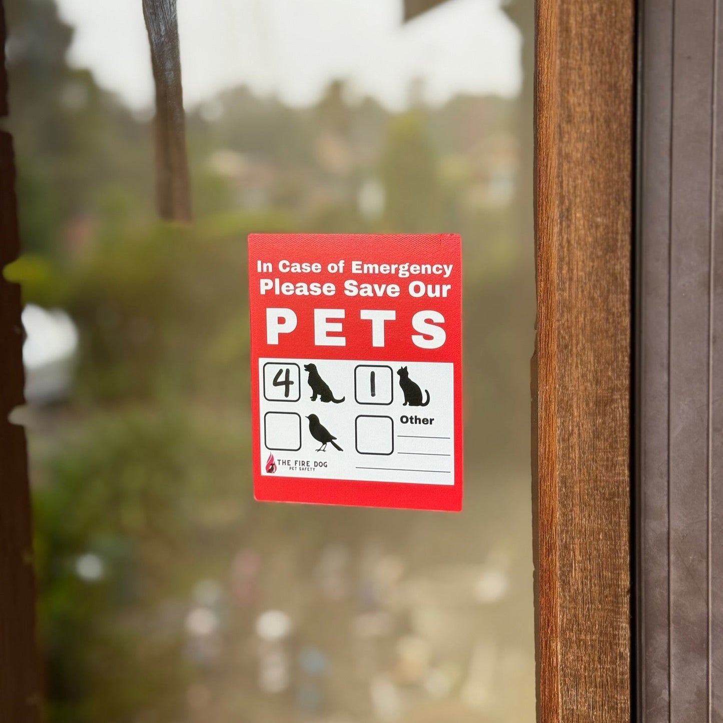 Launch Bundle 15% off