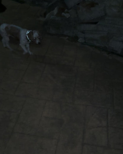 Launch Bundle 15% off